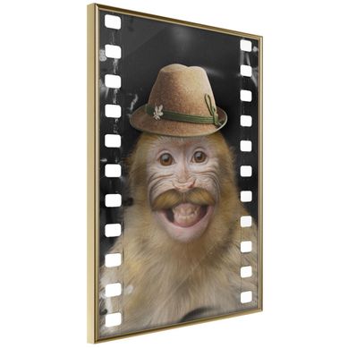 Affiche Murale Encadrée "dressed Up Monkey" 21 X 30 Cm Doré