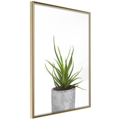 Affiche Murale Encadrée "piece Of Nature I" 40 X 60 Cm Doré
