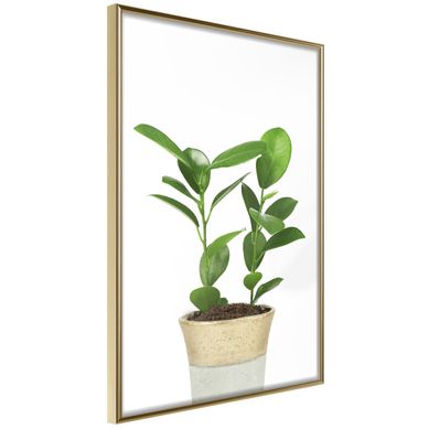 Affiche Murale Encadrée "piece Of Nature Ii" 30 X 42 Cm Doré
