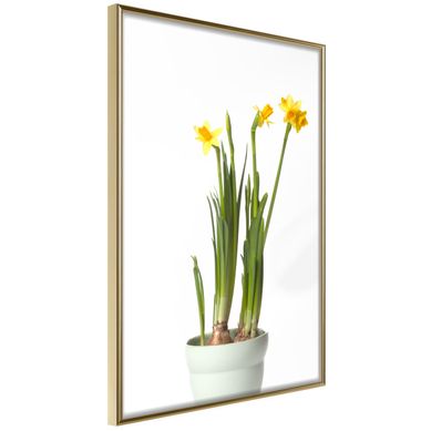 Affiche Murale Encadrée "piece Of Nature Iv" 30 X 42 Cm Doré