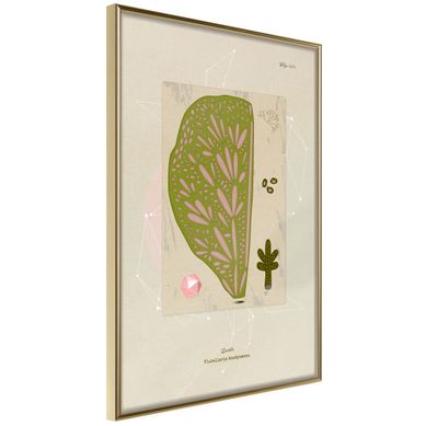 Affiche Murale Encadrée "cross Section Of à Leaf" 21 X 30 Cm Doré