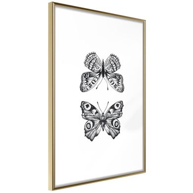 Affiche Murale Encadrée "butterfly Collection I" 40 X 60 Cm Or