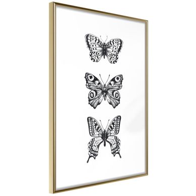 Affiche Murale Encadrée "butterfly Collection Iii" 21 X 30 Cm Doré