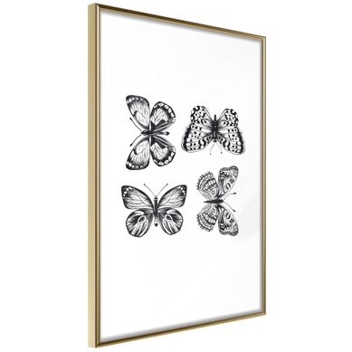 Affiche Murale Encadrée "butterfly Collection Iv" 21 X 30 Cm Doré