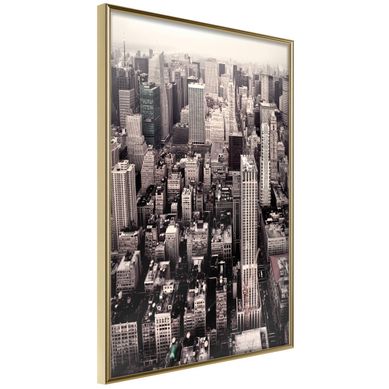 Affiche Murale Encadrée "new York From à Bird's Eye View" 30 X 42 Cm Doré