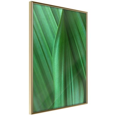 Affiche Murale Encadrée "leaf Structure" 30 X 42 Cm Doré
