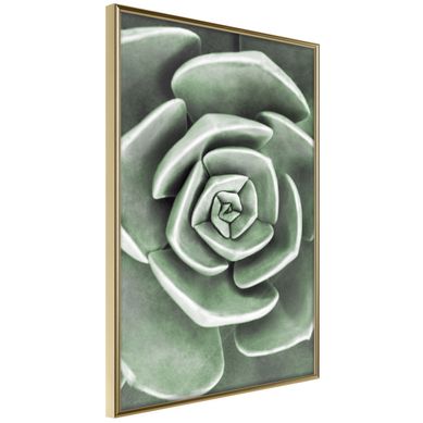 Affiche Murale Encadrée "robust Plant" 21 X 30 Cm Doré