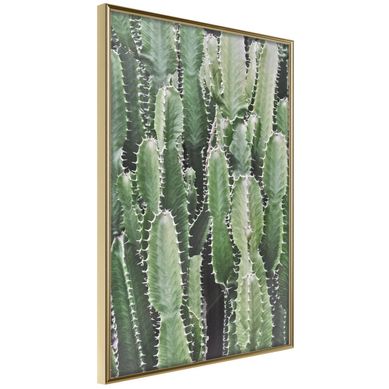 Affiche Murale Encadrée "cactus Plantation" 30 X 42 Cm Doré