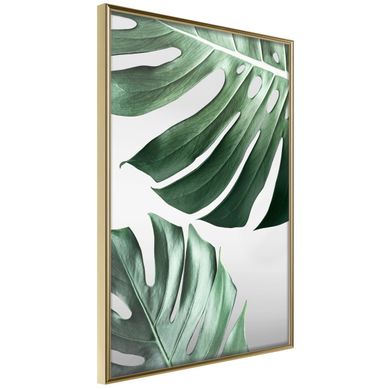 Affiche Murale Encadrée "leaves Like Swiss Cheese" 21 X 30 Cm Doré