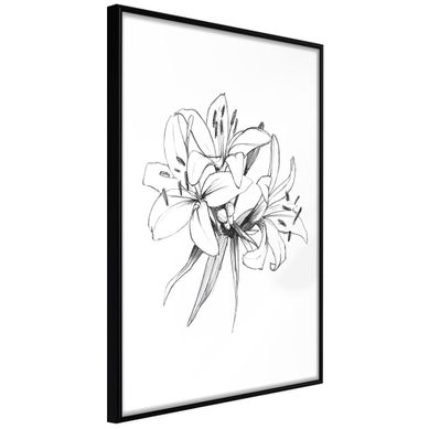 Affiche Murale Encadrée "sketch Of Lillies" 21 X 30 Cm Noir Affiche Murale Encadrée "sketch Of Lillies" 21 X 30 Cm Noir