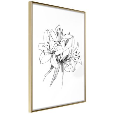 Affiche Murale Encadrée "sketch Of Lillies" 21 X 30 Cm Doré