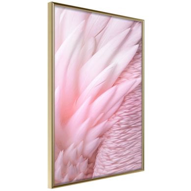 Affiche Murale Encadrée "pink Feathers" 40 X 60 Cm Doré
