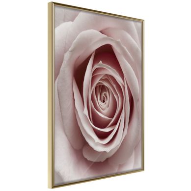 Affiche Murale Encadrée "rosebud" 21 X 30 Cm Doré