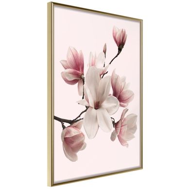 Affiche Murale Encadrée "blooming Magnolias I" 21 X 30 Cm Doré