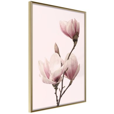 Affiche Murale Encadrée "blooming Magnolias Iii" 21 X 30 Cm Doré Affiche Murale Encadrée "blooming Magnolias Iii" 21 X 30 Cm Doré