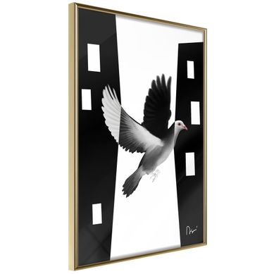 Affiche Murale Encadrée "caught In Flight" 30 X 42 Cm Doré
