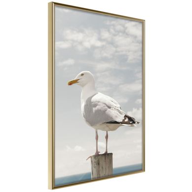 Affiche Murale Encadrée "curious Seagull" 21 X 30 Cm Doré