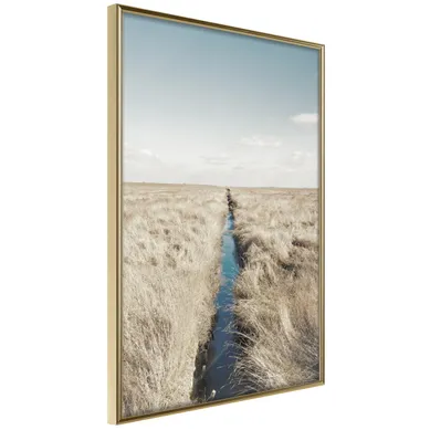 Affiche Murale Encadrée "drainage Ditch" 40 X 60 Cm Doré