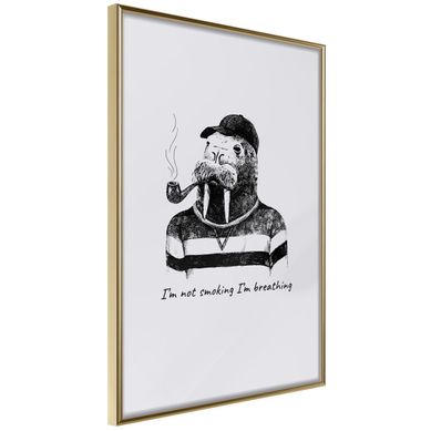 Affiche Murale Encadrée "captain Walrus" 40 X 60 Cm Doré