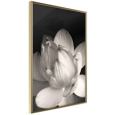 Affiche Murale Encadrée "delicacy Of à Flower" 21 X 30 Cm Doré