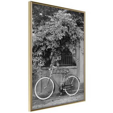 Affiche Murale Encadrée "bicycle With White Tires" 30 X 42 Cm Doré Affiche Murale Encadrée "bicycle With White Tires" 30 X 42 Cm Doré