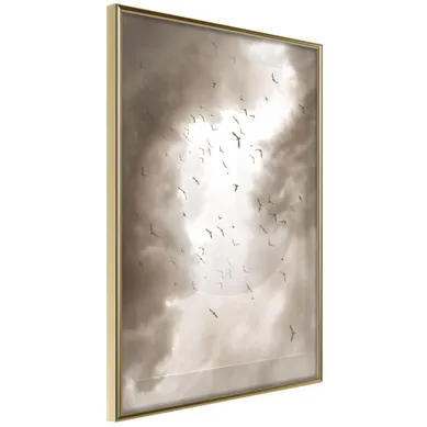 Affiche Murale Encadrée "disturbed Flight" 21 X 30 Cm Doré