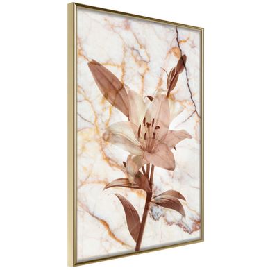 Affiche Murale Encadrée "lily On Marble Background" 30 X 42 Cm Doré