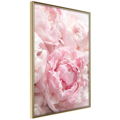 Affiche Murale Encadrée "abundance Of Flowers" 30 X 42 Cm Doré