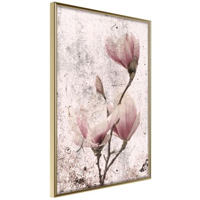 Affiche Murale Encadrée "queen Of Spring Flowers Ii" 21 X 30 Cm Doré