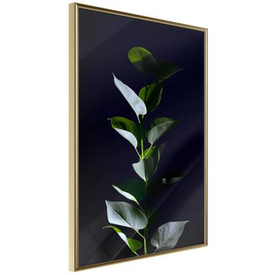 Affiche Murale Encadrée "floral Elegance" 21 X 30 Cm Doré