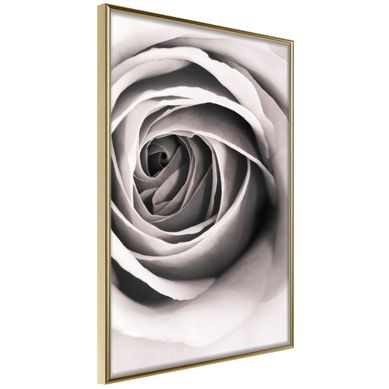 Affiche Murale Encadrée "structure Of Petals" 30 X 42 Cm Doré