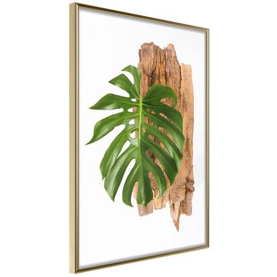 Affiche Murale Encadrée "leafy Etude" 21 X 30 Cm Doré