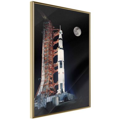 Affiche Murale Encadrée "cosmodrome" 30 X 42 Cm Doré