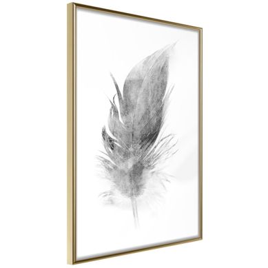 Affiche Murale Encadrée "lost Feather Grey" 30 X 42 Cm Doré