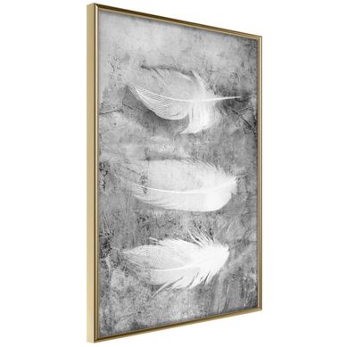 Affiche Murale Encadrée "delicate Feathers" 40 X 60 Cm Doré