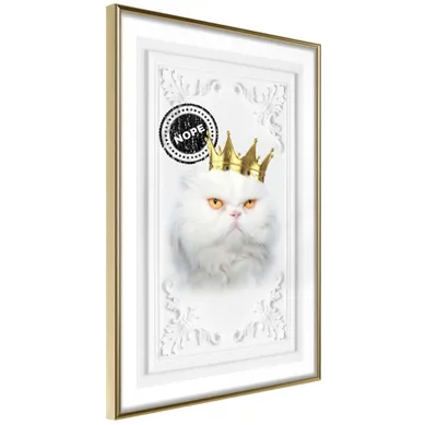 Affiche Murale Encadrée "cat Rules Ii" 40 X 60 Cm Doré