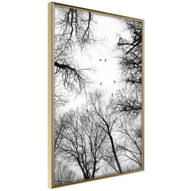 Affiche Murale Encadrée "treetops" 30 X 42 Cm Doré