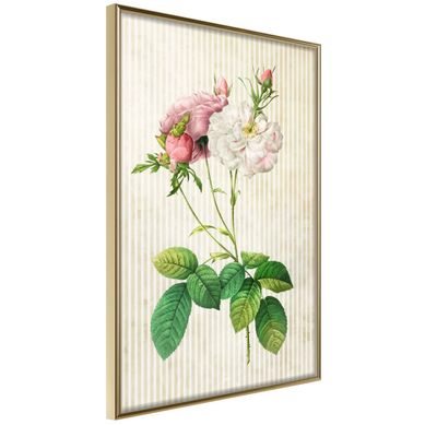 Affiche Murale Encadrée "romance I" 21 X 30 Cm Doré
