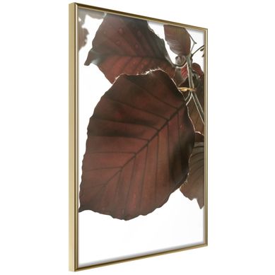 Affiche Murale Encadrée "burgundy Tilia Leaf" 40 X 60 Cm Doré