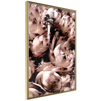 Affiche Murale Encadrée "autumnal Flowers" 21 X 30 Cm Doré