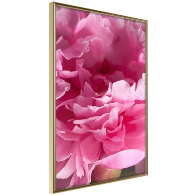 Affiche Murale Encadrée "magenta Madness" 30 X 42 Cm Doré