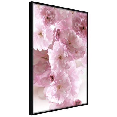 Affiche Murale Encadrée "path Paved With Flowers" 30 X 42 Cm Noir Affiche Murale Encadrée "path Paved With Flowers" 30 X 42 Cm Noir
