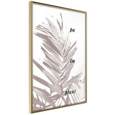 Affiche Murale Encadrée "beige Palm" 40 X 60 Cm Doré