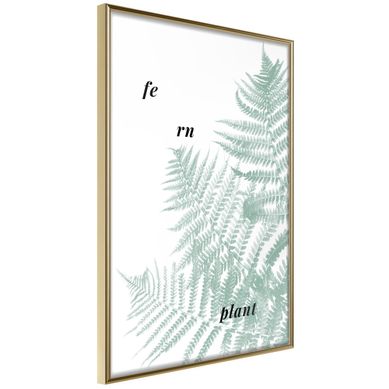Affiche Murale Encadrée "pale Green Fern" 21 X 30 Cm Doré