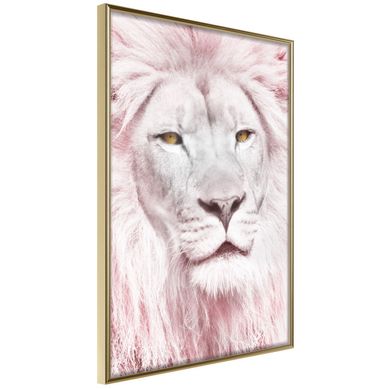 Affiche Murale Encadrée "dreamy Lion" 40 X 60 Cm Doré