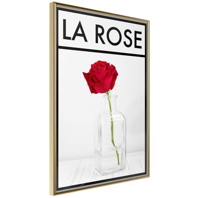 Affiche Murale Encadrée "rose In The Vase" 30 X 42 Cm Doré