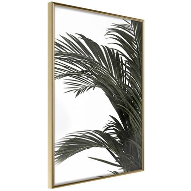Affiche Murale Encadrée "jungle Scent" 40 X 60 Cm Doré