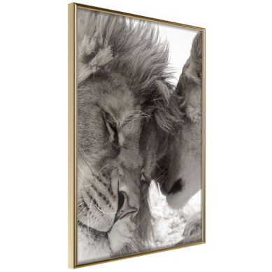 Affiche Murale Encadrée "predatory Couple" 40 X 60 Cm Doré
