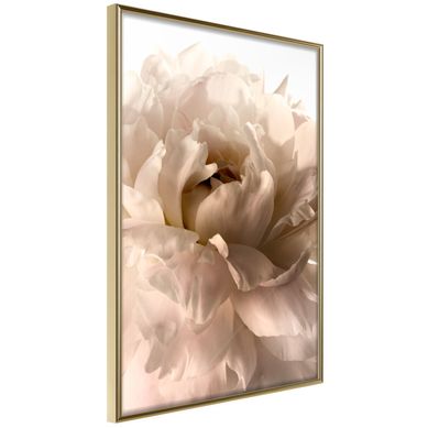 Affiche Murale Encadrée "bloom" 30 X 42 Cm Doré