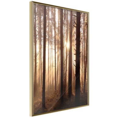Affiche Murale Encadrée "morning In The Forest" 21 X 30 Cm Doré